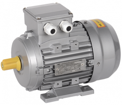 Электродвигатель АИC90S6 (iEK) 1081 - лапы