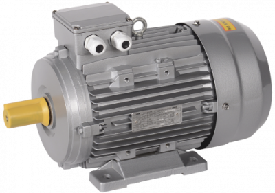 Электродвигатель АИC100LВ8 (iEK) 1081 - лапы