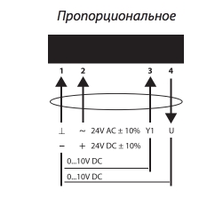 10Hm_prop.jpg