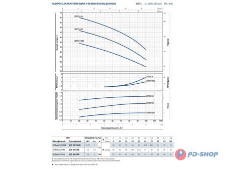 Насосная станция Pedrollo 2CPm 25/16A 24cl